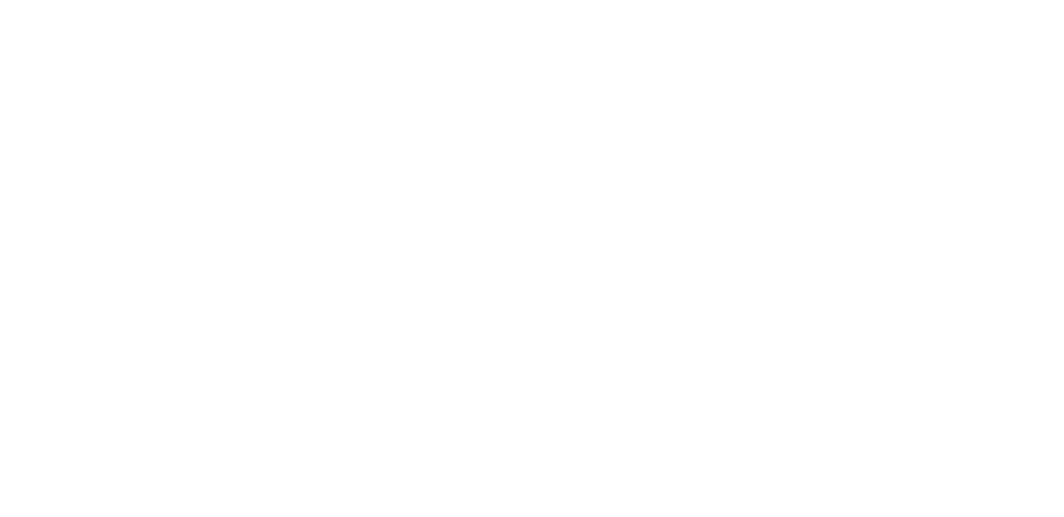 Xero Partner logo